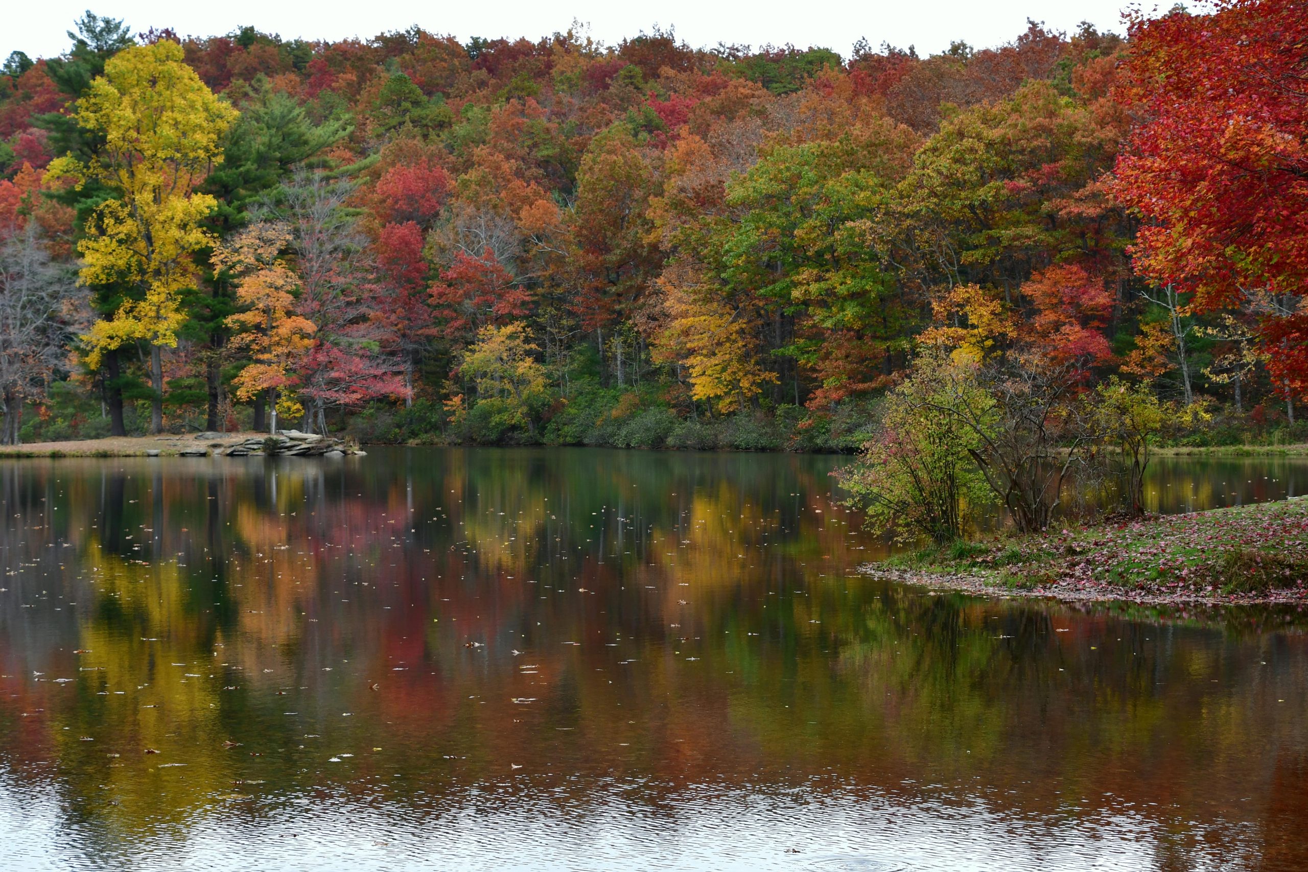 colorful fall foliage reflecting in a mountain lake