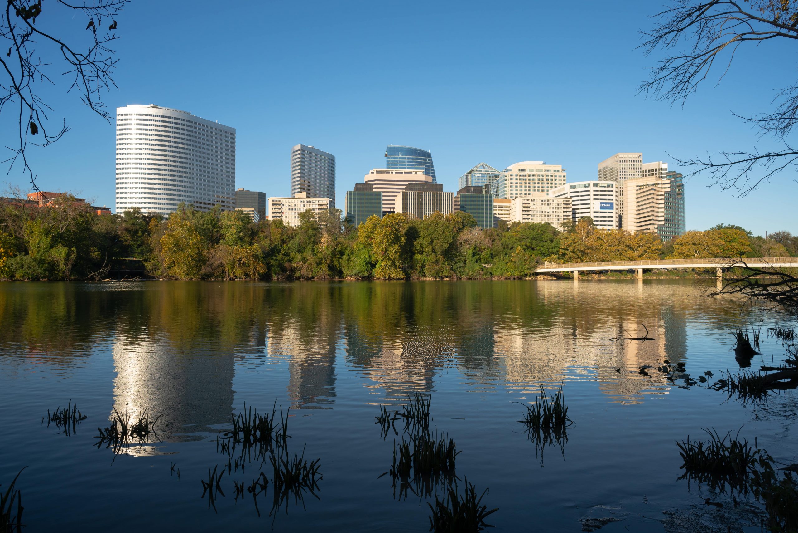 downtown alexandria virginia buildings reflected on lake