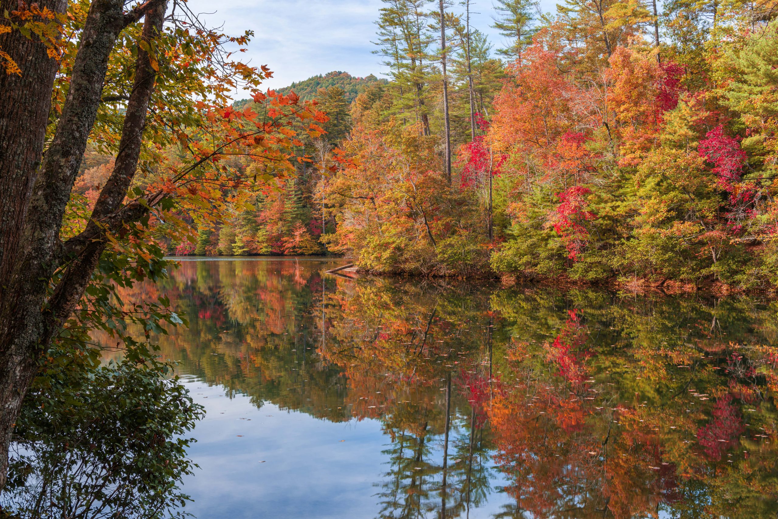 fall foliage santeetlah lake in north carolina