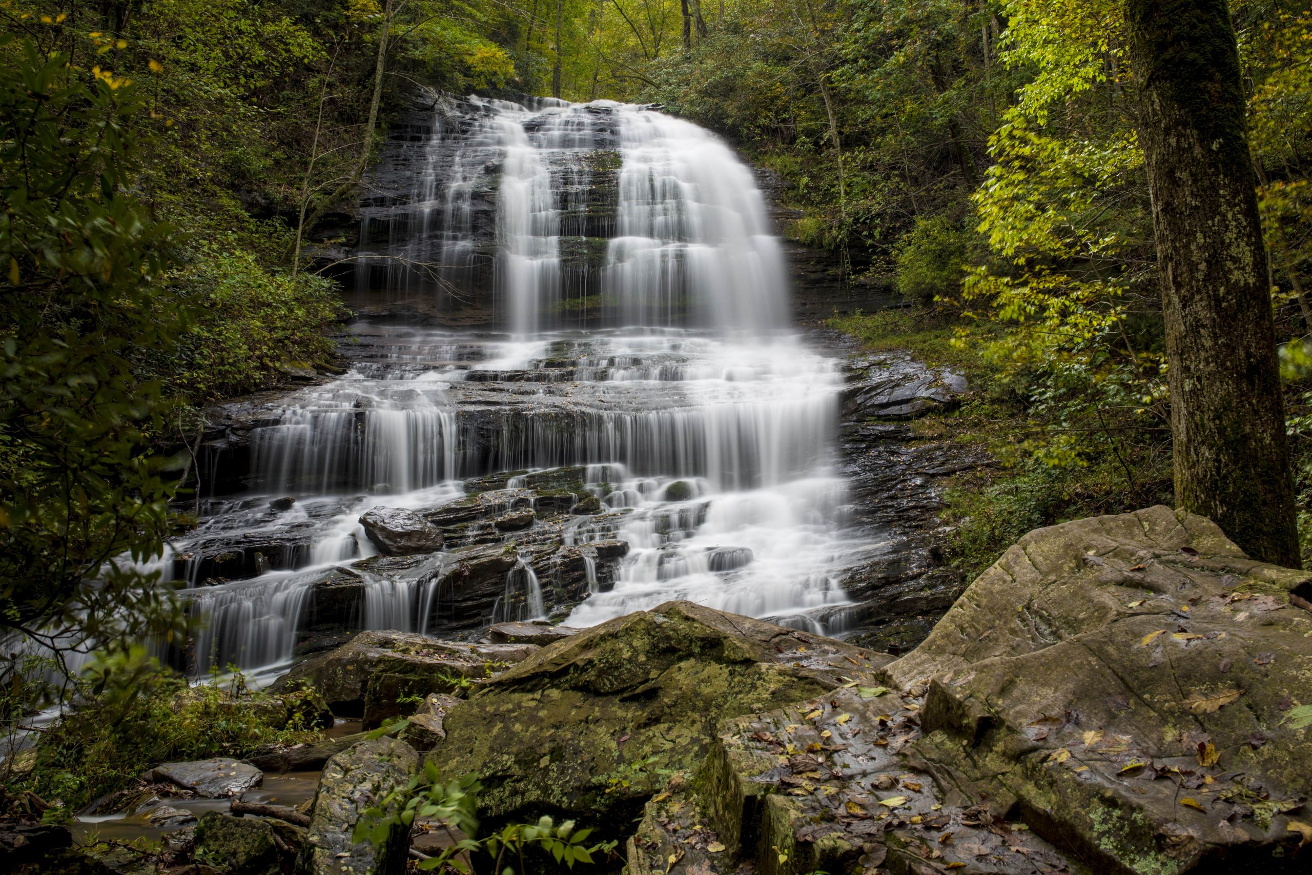 Pearsons falls in North Carolina